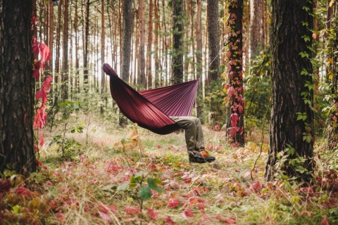 Hamak Lesovik BYSTRY